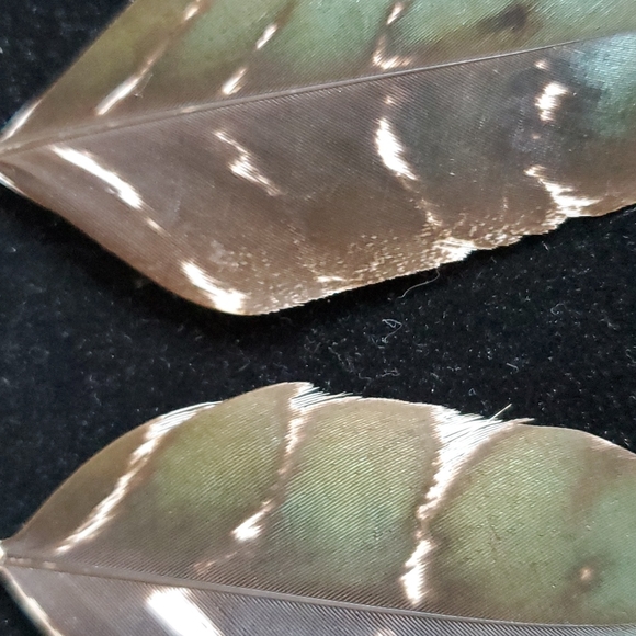 Feather 🪶 Earrings. - Picture 7 of 7